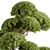 Replicated Spherical Bonsai Tree Set 3D model small image 2