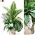 Botanical Assortment 1017 3D model small image 1