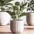 Sleek Indoor Plant Set 3D model small image 3