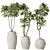 Exotic 3D Houseplants Set03 3D model small image 1