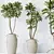 Exotic 3D Houseplants Set03 3D model small image 3