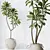 Exotic 3D Houseplants Set03 3D model small image 4