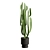 African Milk Tree Cactus Sculpture 3D model small image 6