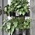 Exquisite Indoor Plants Collection 3D model small image 3