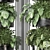 Exquisite Indoor Plants Collection 3D model small image 5