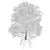 Realistic Bigleaf Maple Tree 3D Model 3D model small image 5