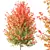 Hybrid Freeman Maple Tree 3D Model 3D model small image 3