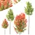 Hybrid Maple Trees 3D Models 3D model small image 1
