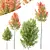 Hybrid Maple Trees 3D Models 3D model small image 3