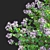 Meyer's Lilac Trees Set 3D model small image 6