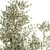 Tropical Plant Collection Set 3D model small image 3