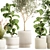 Tropical Plant Collection Set 3D model small image 4