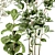 Tropical Plant Collection Set 3D model small image 6