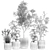 Tropical Plant Collection Set 3D model small image 7