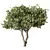 Modern Rustic Tree Sculpture 3D model small image 1