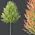 Hybrid Maple Plant 3D Models 3D model small image 2