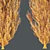 Hybrid Freeman Maple 3D Model 3D model small image 4