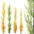 Hybrid Freeman Maple 3D Models 3D model small image 1