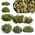 Autumn Plants Collection: 3D Models 3D model small image 1