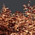Autumn Plants Collection: 3D Models 3D model small image 6