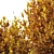 Autumn Plants Collection: 3D Models 3D model small image 7