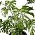 Tropical Trio 3D Potted Plants 3D model small image 2