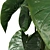 Tropical Trio 3D Potted Plants 3D model small image 4