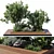 Nature-Inspired Plant Set Elevation 3D model small image 1