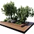 Nature-Inspired Plant Set Elevation 3D model small image 3