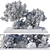 Nature-Inspired Plant Set Elevation 3D model small image 7