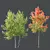 Hybrid Freeman Maple Tree Set 3D model small image 2