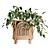 Rainbow Planter With UV Unwrap 3D model small image 2