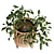 Rainbow Planter With UV Unwrap 3D model small image 3