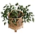 Rainbow Planter With UV Unwrap 3D model small image 5