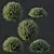 Dwarf Coastal Rosemary Set02 Greenery 3D model small image 2