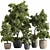  Outdoor Plant Set with Textures 3D model small image 1