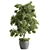  Outdoor Plant Set with Textures 3D model small image 2