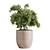  Outdoor Plant Set with Textures 3D model small image 5