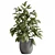  Outdoor Plant Set with Textures 3D model small image 6