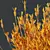 Lavandula Atlantica 3D Plant Models 3D model small image 5