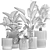 Tropical Plant Collection 1465 3D model small image 7