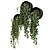 Modern Indoor Hanging Plants Set 3D model small image 4