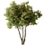 Rhododendron Blossom Tree Collection 287 3D model small image 1