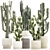 Desert Cactus Collection 1468 3D model small image 1