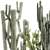 Desert Cactus Collection 1468 3D model small image 2