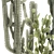 Desert Cactus Collection 1468 3D model small image 6