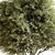 Fruity Fig Tree Mix 3D model small image 2