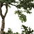 Outdoor Plant Set 29 Bundle 3D model small image 6