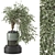  Botanical Paradise Collection 2015 3D model small image 1