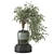  Botanical Paradise Collection 2015 3D model small image 5